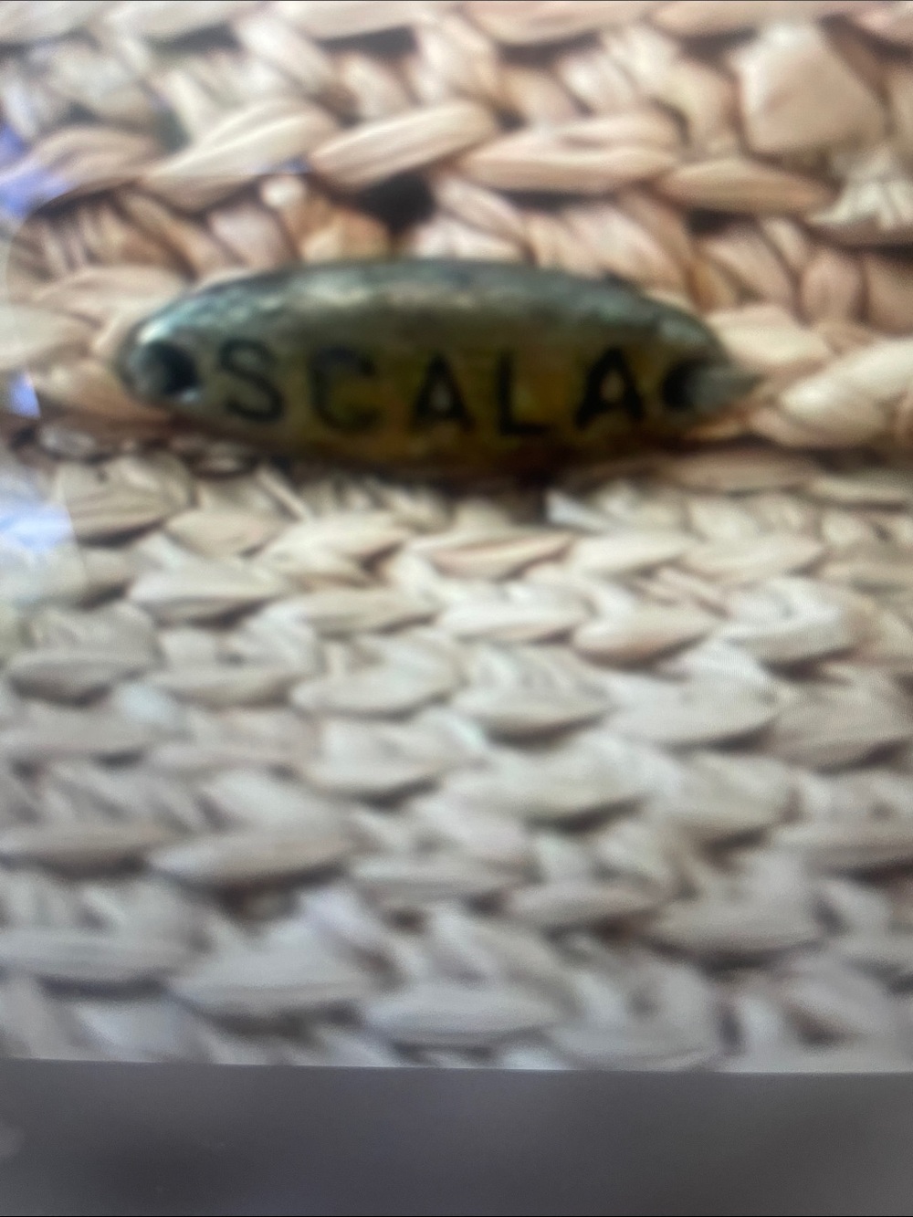 The Scala Collection Woven Straw Sun Hat - Natural Tan - Picture 4 of 6